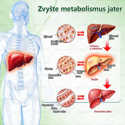🎁 GeeLemon® Glumasetide 8 v 1 – Revoluční nano mikrojihlová náplast 🇨🇿 1× denně pro podporu hubnutí, více energie a lepší kontrolu chuti k jídlu