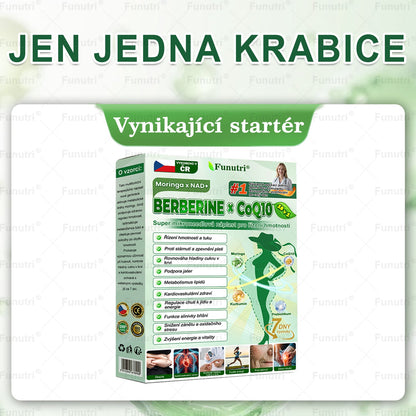 Oficiální obchod 💯 Funutri® 10 v 1 metabolická tvarující náplast s nano mikrojehličkami (Pouze jednou denně, viditelné změny již za 7 dní)  Určeno pro osoby s obezitou, diabetem, spánkovou apnoe